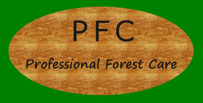 Professional Forest Care